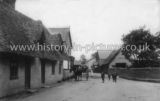Howe Street, Gt Waltham, Essex. c.1908
